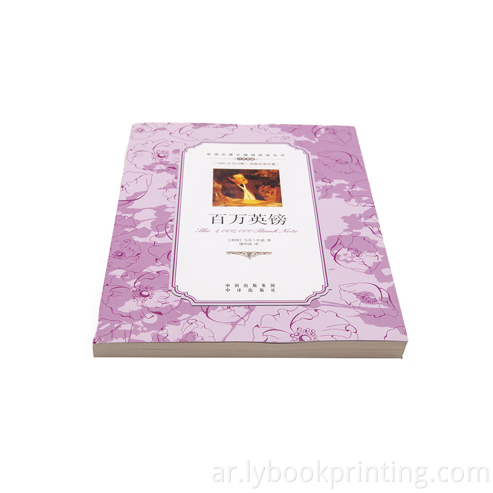 مصنع اللغة الإنجليزية الصينية بلغتين الكتب الرواية الشهيرة في الأسهم روبنسون كروزو بلدي الساخن كتاب A4 الحجم